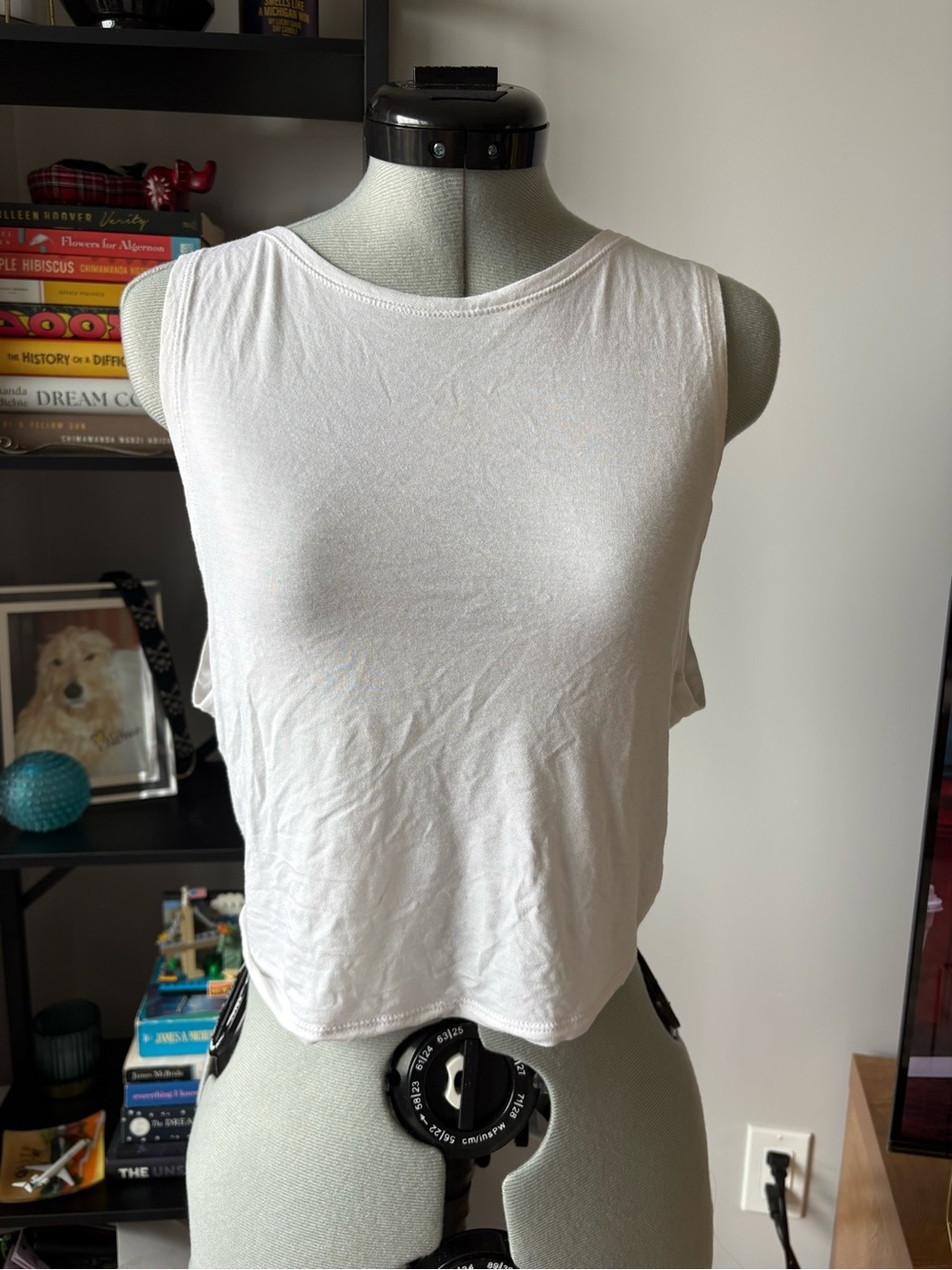 aerie White Cropped Open Back/Reversible Tank Top